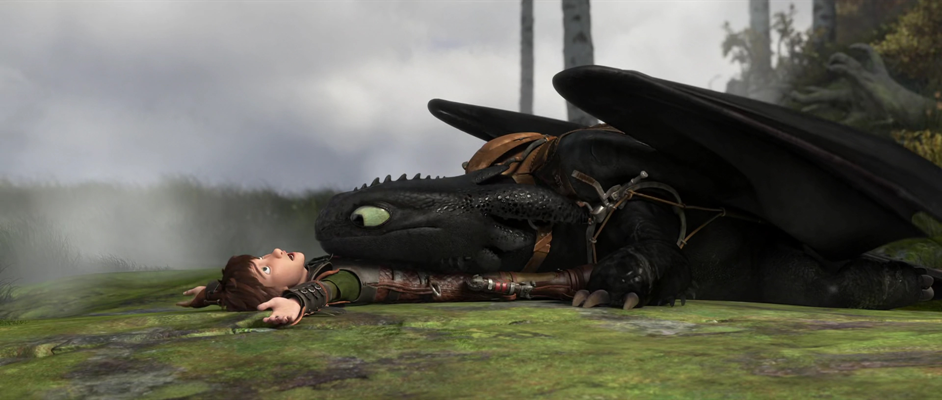 toothless on top of rider