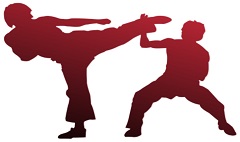 kung fu silhouettes