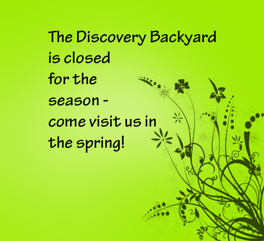 backyard closed