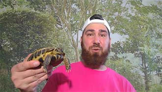 host with turtle