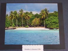 Second Place Winner - Paradise in Samana