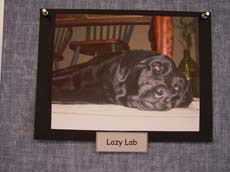 Third Place Winner - Lazy Lab